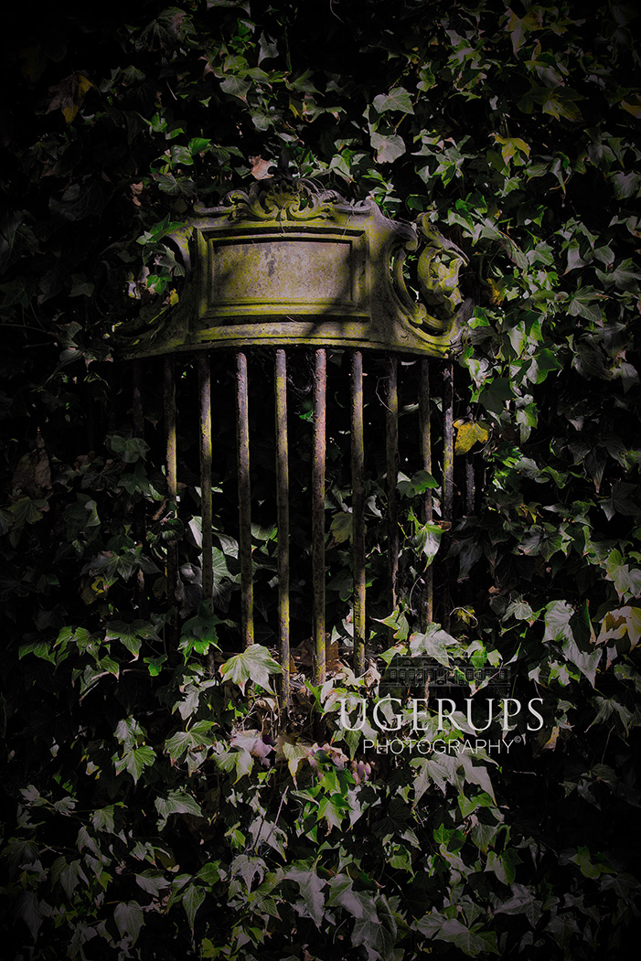 Mystery garden